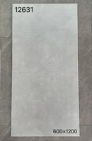Carreaux de sol en céramique modernes nordiques, grand format 1200*600, gris clair mat, imitation pierre texturée, pour intérieur et entrepôt