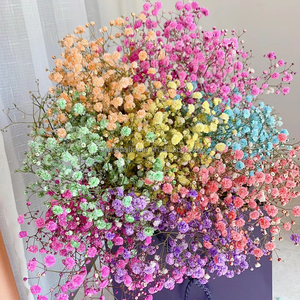 <span class=keywords><strong>Bouquet</strong></span> <span class=keywords><strong>de</strong></span> gypsophile en gros, <span class=keywords><strong>fleurs</strong></span> séchées, <span class=keywords><strong>fleurs</strong></span> <span class=keywords><strong>de</strong></span> souffle <span class=keywords><strong>de</strong></span> bébé conservées, couleur blanche pour mariage ou décoration <span class=keywords><strong>de</strong></span> la maison - Product Image 3