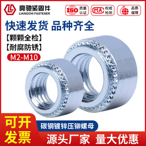 Tuerca de Presión Redonda Bright Chi M2 M3 M4 M5 M6 M8 M10 M12, Acero al Carbono Galvanizado Grado A PEM-S, para la Industria de la Construcción - Product Image 5