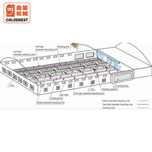 Comedero para Pollos Adultos Machos en Nueva Condición, Cilindro Dosificador, Cubo <span class=keywords><strong>de</strong></span> Alimentación con Cadena, Bandeja <span class=keywords><strong>de</strong></span> Alimentación para Gallinas Ponedoras - Product Image 1