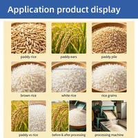 Machine à moudre le riz personnalisable 20tpd 1000kg/H pour une efficacité optimale