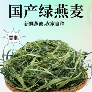 Heno de Avena Premium, Heno de Alfalfa, Alimento para Conejos con Alto Contenido de Fibra, para Cobayas, Chinchillas y Animales Pequeños, Ecológico, Jinchang, Gansu - Product Image 5