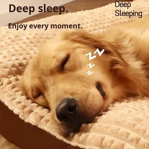 Cama Rectangular Indestructible y Relajante para Perros Grandes, con Materiales Ortopédicos de Memoria, Funda Lavable, para Todas las Estaciones, Invierno, Interior - Product Image 3