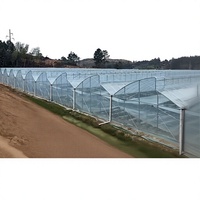 Serre agricole à film dentelé SINOK, directement de l'usine, avec système hydroponique, ensemble complet de serre à vendre