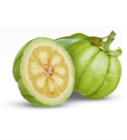 Hoogwaardig Garcinia Cambogia Extract Poeder 50% 60% HCA Hydroxycitroenzuur Natuurlijke Kruiden Grondstof