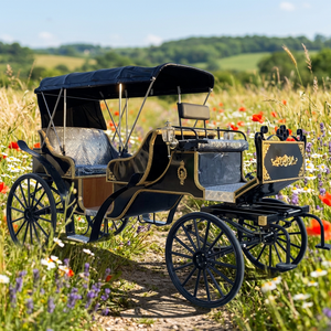 Nouvelle Conception Chariot de Tourisme à Quatre Roues Noir, Tiré par des Chevaux ou Électrique en Option, Décoration Dorée de Luxe, Wagon de Visite - Product Image 1