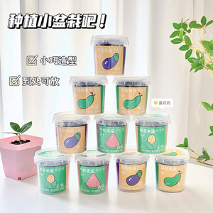 Creative potted plant blind box, student desktop <b>mini</b> green plant, small potted plant, <b>desk</b> decoration item, children's gift - Product Image 3