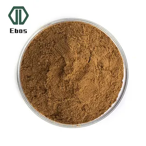 Hight quality Factory Ziziphus jujuba Mill.var.spinosa seed Jujube Seed Extract ziziphus jujuba seed extract