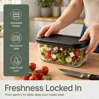 Boîte à lunch rectangulaire en verre borosilicate de 820 ml avec couvercle en plastique sans BPA, compatible micro-ondes, anti-fuite, écologique, fournie par l'usine