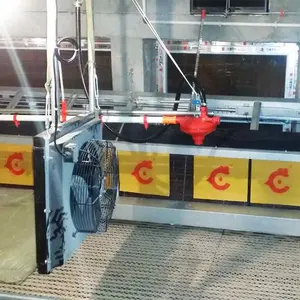 Fabriek Prijs Kip Pluimveebedrijf Apparatuur Veeteelt Automatische Ei Collection Machine