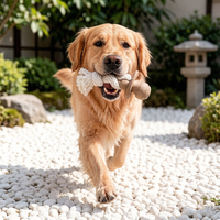 Jouet interactif pour chien en forme de sucette, personnalisable, en bambou écologique et TPR, avec corde, pour vente en gros