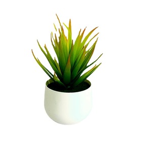 Planta Suculenta Artificial en Maceta, Decoración Interior de PVC Suave, Adorno de 7 Capas Estilo Bonsái Gladiolus - Product Image 5
