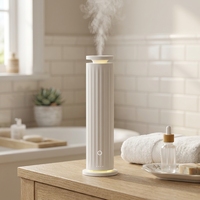 Diffuseur d'huiles essentielles sans eau pour hôtel, maison et bureau, conforme aux normes CE, ROHS et FCC.