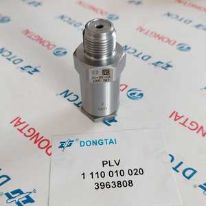 Válvula Limitadora de Alta Presión (PLV) 1 110 010 020, 1110010020, 3963808, C3963808 - Product Image 5