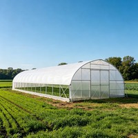 Serre en PE monocouche de grande taille 30 x 10 m avec système de ventilation pour la culture de fleurs et de plantes