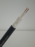 Kabel Fleksibel RVV 10x1.5mm2 300/500V Inti Tembaga Berlapis PVC Kabel Daya Multicore untuk Pengkabelan Dalam Ruangan