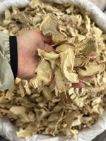 Gingembre frais de grande taille 300g+ de haute qualité du Yunnan, provenant directement de l'usine chinoise, approvisionnement stable en gros