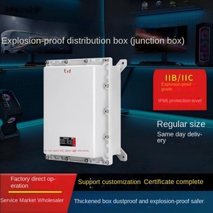 Thép không gỉ điện tử & Thùng dụng cụ chống cháy nổ và chống bụi với điều khiển Mô-đun Cung cấp điện chiếu sáng - Product Image 3