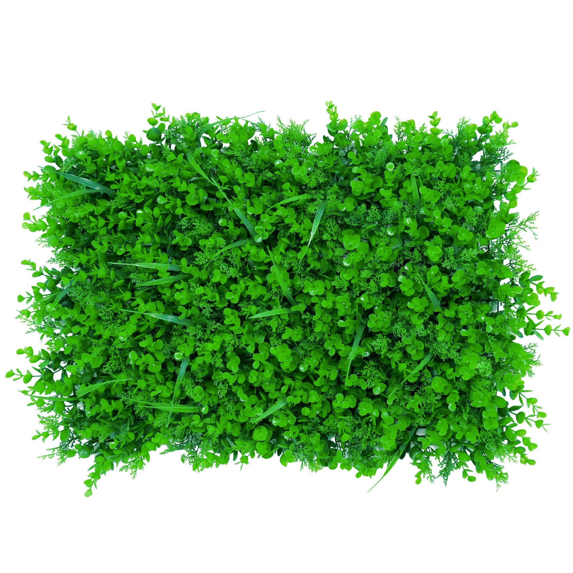 ยูคาลิปตัสขนาดใหญ่ผสมผสานกับสีสันแห่งฤดูใบไม้ผลิ