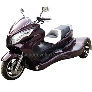 NEW Eec gas 300cc off road tricycle for adult