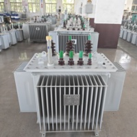 S11 Yağlı Tip Trafo Fabrikadan Hızlı Teslimat Profesyonel Satış Sonrası Hizmet Uzun Garanti Özelleştirilmiş