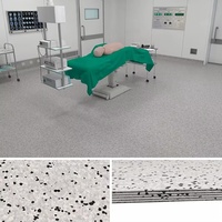 Revêtement de sol en vinyle PVC 3 mm résistant à l'humidité et à longue durée de vie, idéal pour les salles d'hôpital privées de luxe