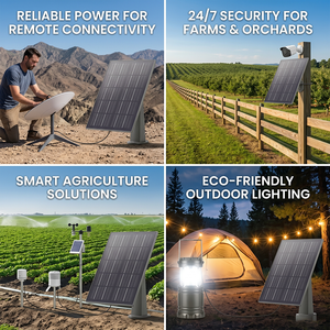 Panneau solaire personnalisé avec batterie au lithium pour éclairage public 6W 12V IP66 étanche monocristallin pour éclairage extérieur de jardin Modèle S2313 - Product Image 2