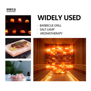 Sal rosa del Himalaya ladrillo sólido fino arena Mineral granular pavimentación sal sala de vapor característica ladrillos - Product Image 4