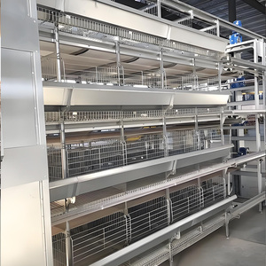 Hệ thống chuồng nuôi gà công nghiệp kiểu H hiện đại, sản xuất trứng, sẵn sàng giao hàng, chuồng mới và đã qua sử dụng cho gia cầm - Product Image 3