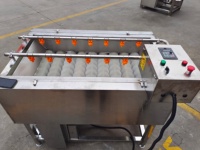 Commerciële groentewasmachine, suikerrietwolrolwasmachine