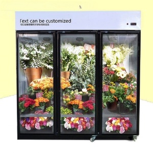 <span class=keywords><strong>Vitrina</strong></span> Comercial <span class=keywords><strong>Refrigerada</strong></span> <span class=keywords><strong>para</strong></span> Exhibición de Flores en Tiendas - Product Image 1
