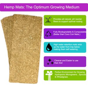 Nạp microgreen bao gồm cải xoăn và củ cải daikon và arugula và microgreen hữu cơ mù tạt và 4 thảm - Product Image 2