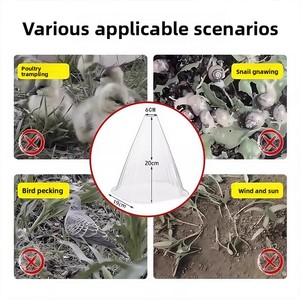 Couverture pour plantes potagères pour les <span class=keywords><strong>semis</strong></span> de <span class=keywords><strong>melon</strong></span>, les <span class=keywords><strong>semis</strong></span> de pépinière, les <span class=keywords><strong>semis</strong></span> en serre, protection contre les oiseaux, protection contre le gel - Product Image 1