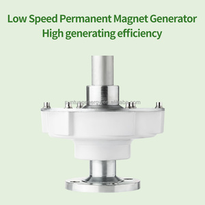 Trung Quốc Nhà máy 100W 200 W 300W 400W gió dọc Máy phát điện tuabin thay thế năng lượng miễn phí Cối Xay Gió 12V 24V MPPT điều khiển - Product Image 6