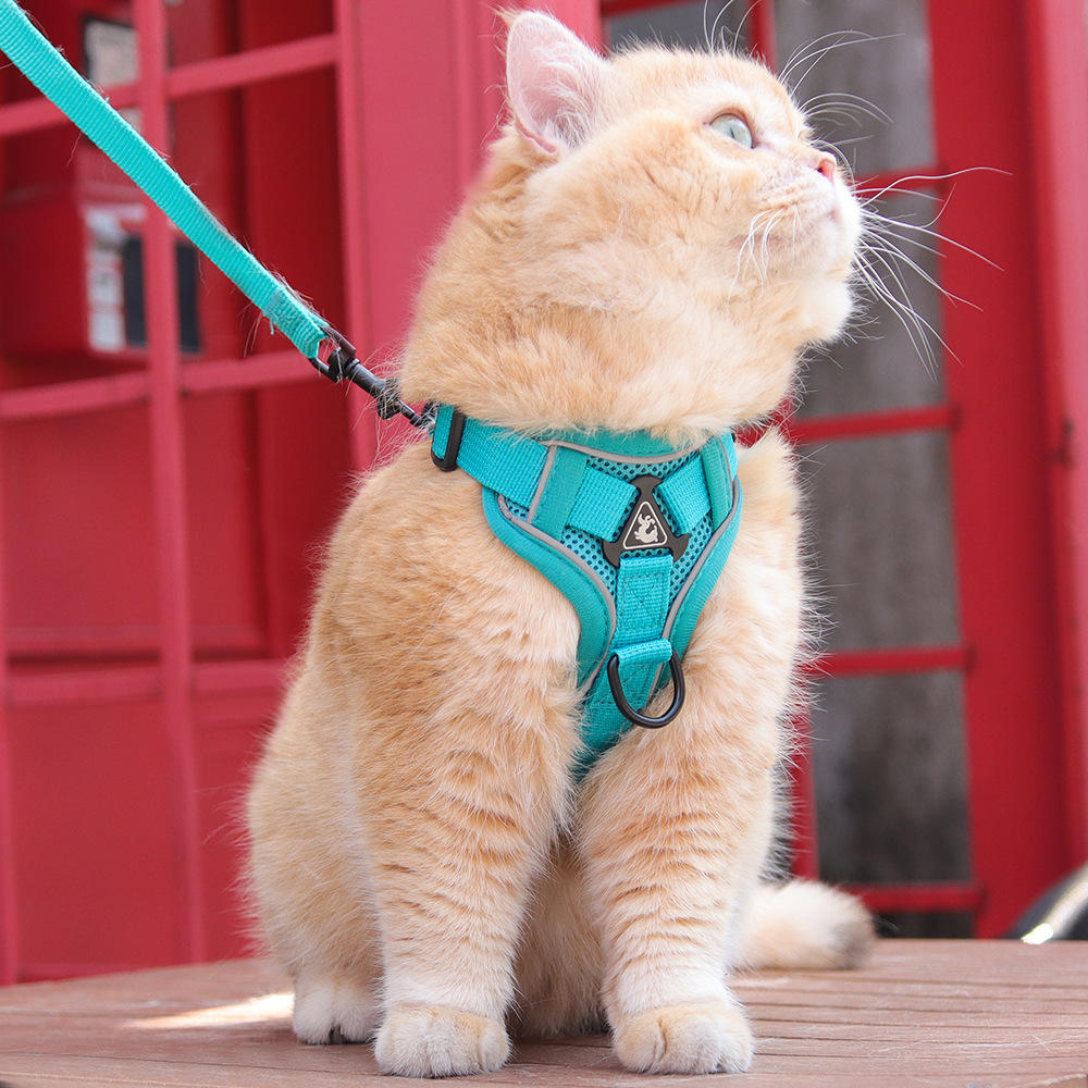 สีฟ้าอ่อน