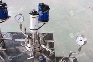 Réacteur CSTR de laboratoire bibo en acier inoxydable 316 (Cuve de réaction) avec moteur et chauffage intégrés - Product Image 5
