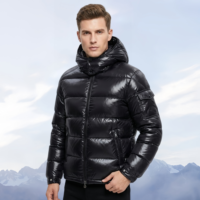 Vestes en duvet de créateurs en gros, manteaux en duvet unisexes brillants avec des designs luxueux et tendance, vestes en duvet courtes matelassées à fermeture éclair unie