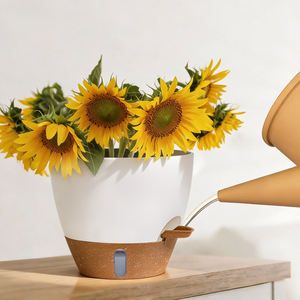 Fabrieksleverancier Zelfwatergevende Duurzame Waterbesparende Plastic Balkon Kantoor Binnenplaats Bloempot Lui Tuinier Bloempot - Product Image 1