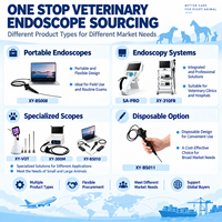 Solution complète pour l'approvisionnement en endoscopes vétérinaires : Système d'endoscopie vétérinaire, Gastroscopie, Coloscopie, Bronchoscopie, Équipement vétérinaire