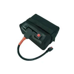 High Capacity 12.8V 18Ah Lithium Iron Phosphate Battery Pack for Golf Carts with Advanced BMS