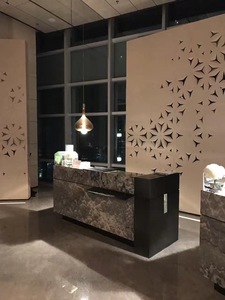 Placage d'aluminium perforé sculpté avec un design artistique, personnalisable - Product Image 1