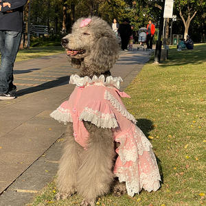 Vestido de Princesa Color Rosa Caramelo para <span class=keywords><strong>Perros</strong></span> Medianos/Grandes, Modelo 6546, para Todas las Estaciones, Marca Big Dog, para Golden Retriever y Labrador - Product Image 2