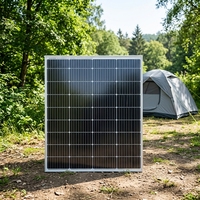 Petit panneau solaire monocristallin demi-cellule 20W 50W 80W 100W en verre rigide, module photovoltaïque à 22% d'efficacité pour l'éclairage de camping