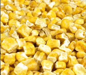 Jintian Good Price Sweet Premium Yellow Freeze Dried Corn Kernels For Distributor