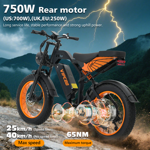 Nouveau modèle 2026 Vélo VTT à pneus larges 20 pouces avec moteur 750W pour adultes Entrepôt UK/UE VC-VM6 - Product Image 5