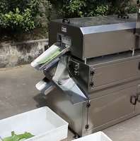 Elektrische Aloë Vera Huidverwijderingsapparaat Automatische Aloë Vera Schilmachine