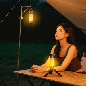 Wason bán Hot mini kích thước nhỏ xách tay LED sạc cắm trại ánh sáng ngoài trời ấm áp và lạnh ánh sáng trắng LED Lantern với Hook - Product Image 5