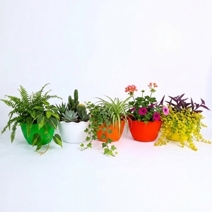 Space <b>Saving</b> Flat Back Wall Hanging Plant Pots Vibrant Color PP Resin Plastic Planters for Indoor Outdoor Garden Supplies - Product Image 1