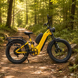 Bicicleta Eléctrica de Neumáticos Anchos de 24 Pulgadas con Doble Batería, 72v 3300w, Suministro Directo de Fábrica Lantu, para el Mercado Estadounidense - Product Image 4
