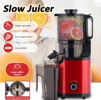Extracteur de jus multifonctionnel 800W pour la maison, grande capacité 500ml, fonctionnement simple, mixeur électrique pour fruits, presse-agrumes lent, grande ouverture